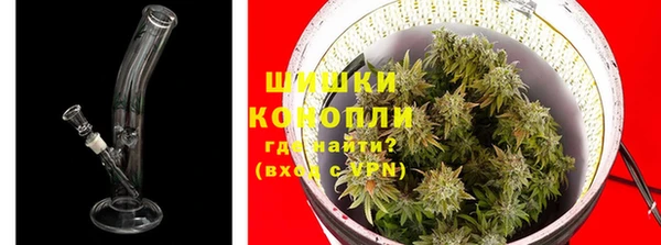 шишки Абинск